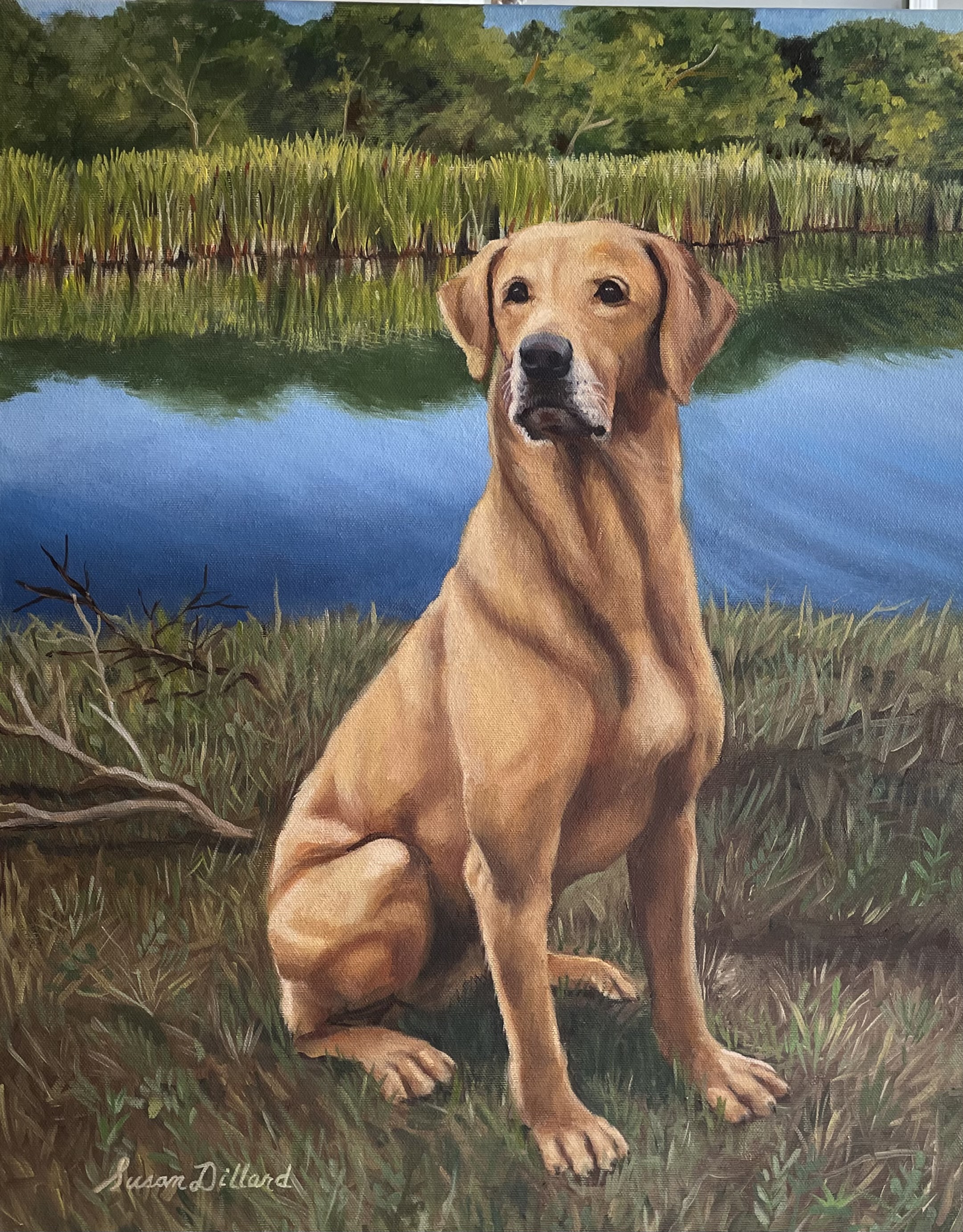 Water Dog, Commission